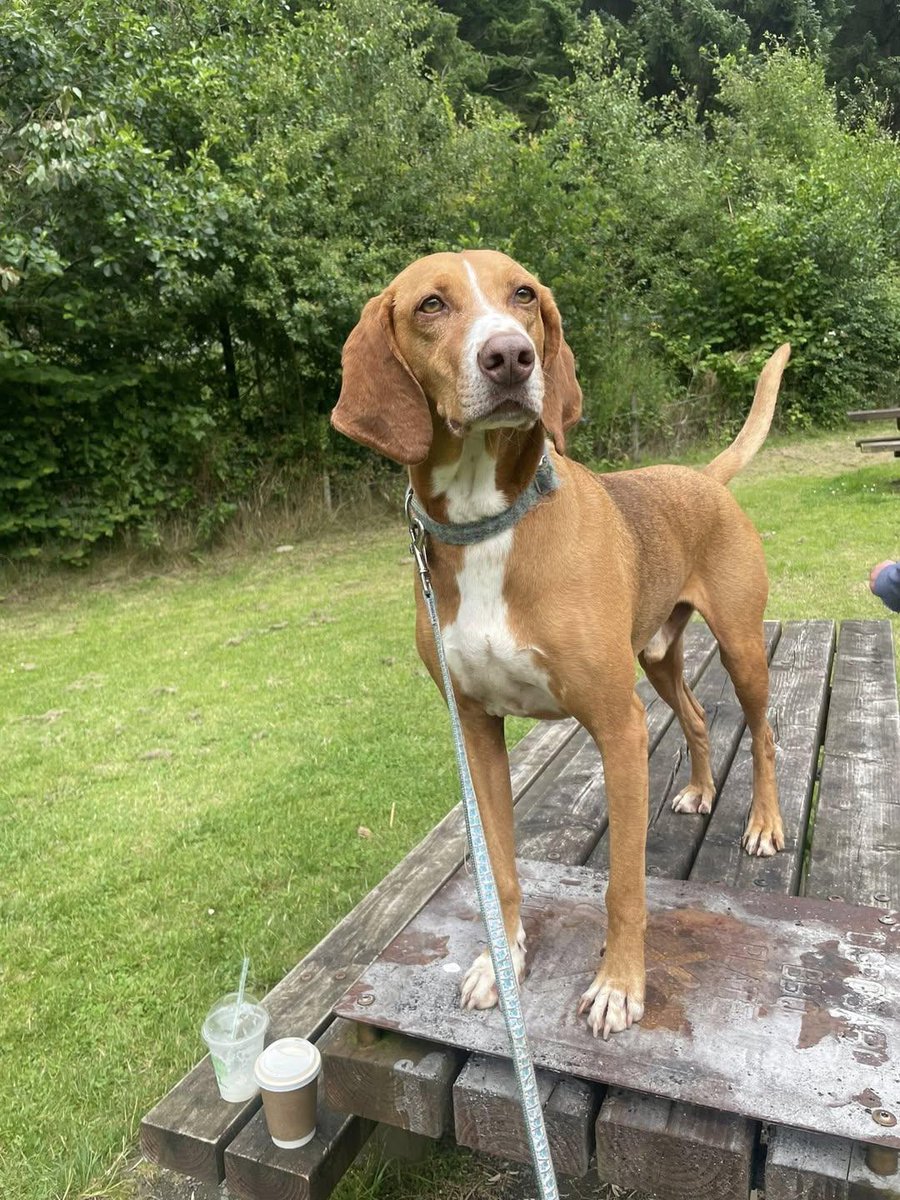 Sara Mary ⭐❤️ tweet media