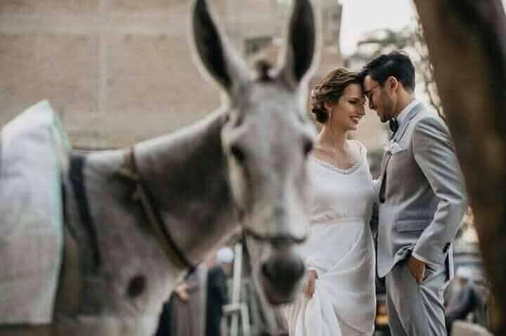 الشيخ جعبل 𐩱𐩡𐩦𐩺𐩭 𐩽 𐩴𐩲𐩨𐩡 𐩽 tweet media