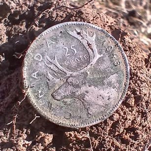 Digging Canuck "X" tweet media