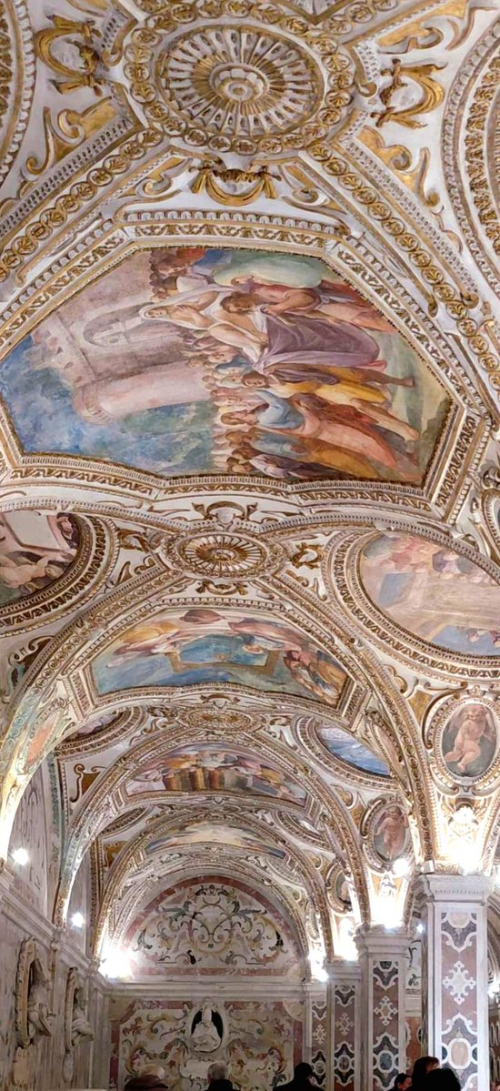 Maria Castelluccio tweet media