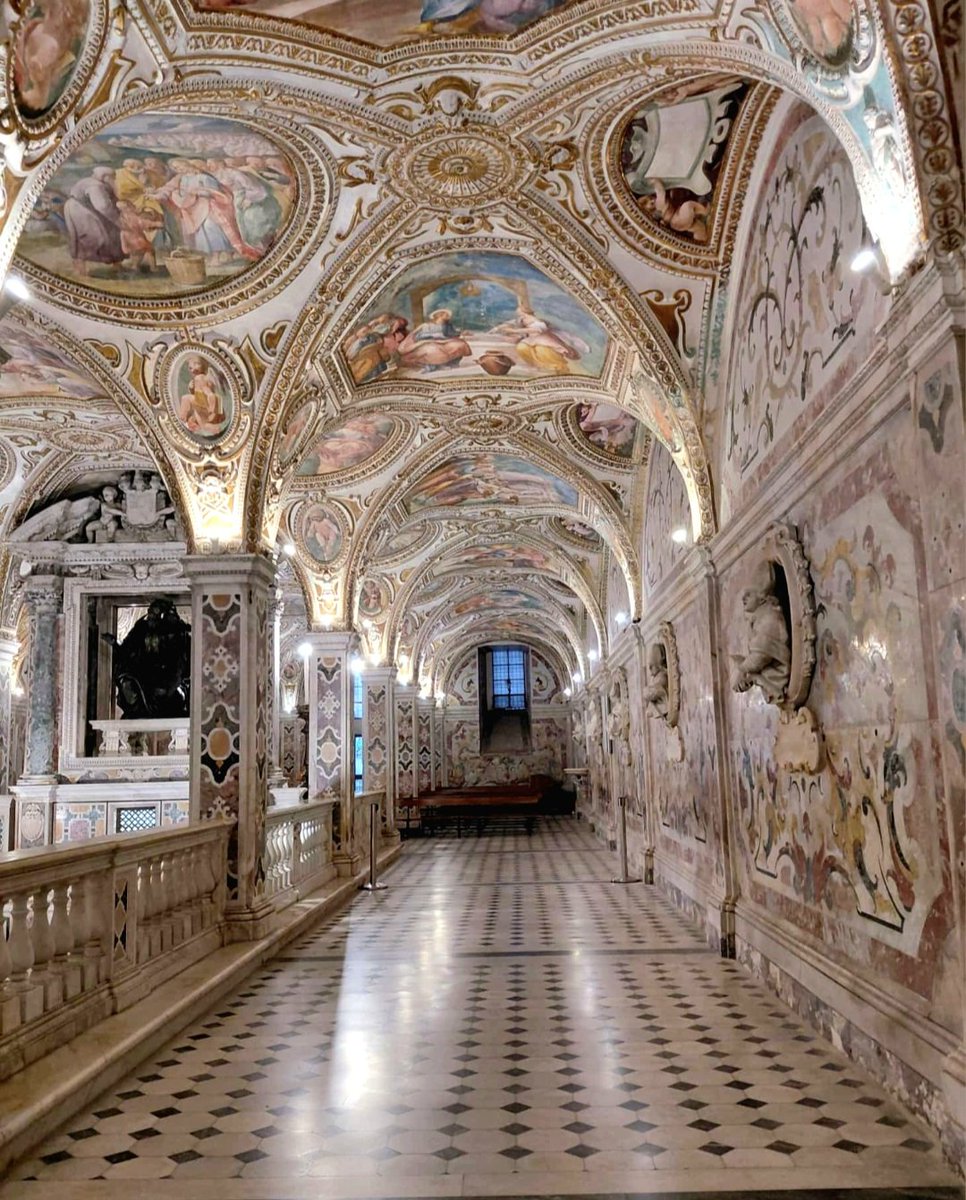 Maria Castelluccio tweet media