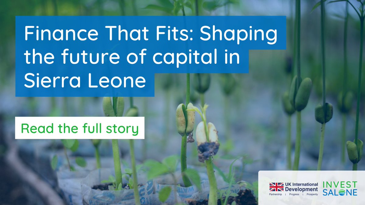 Invest Salone tweet media