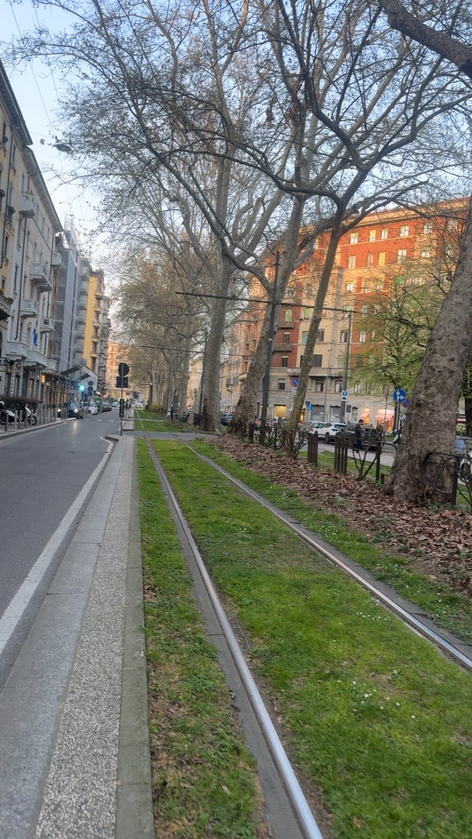 ريان tweet media