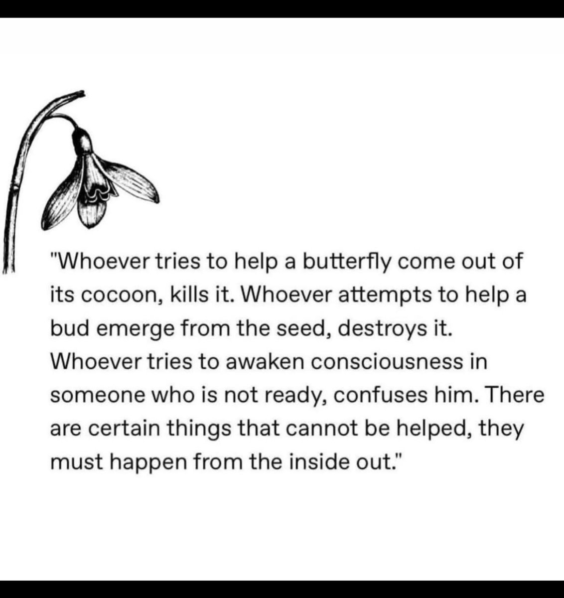 Diana PATRIOTS ARE UNITED❤️🇺🇸❤️🙏 tweet media