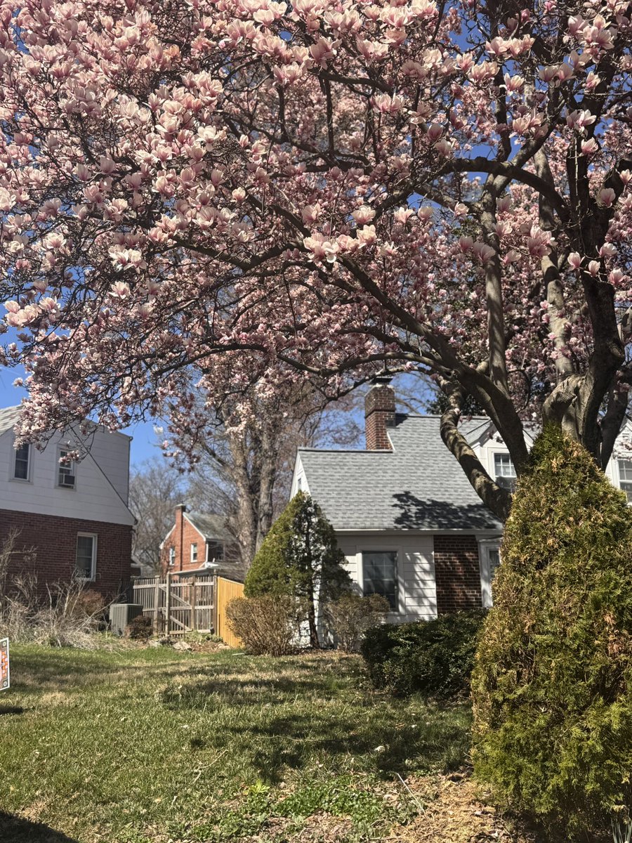 Court ✨ tweet media