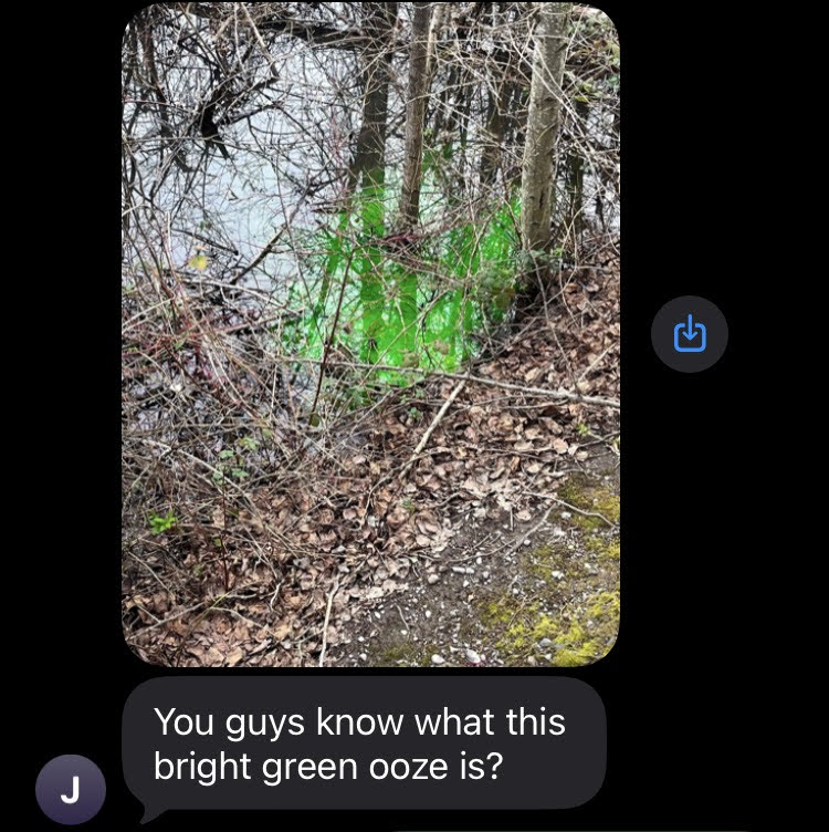 New town every hour tweet media