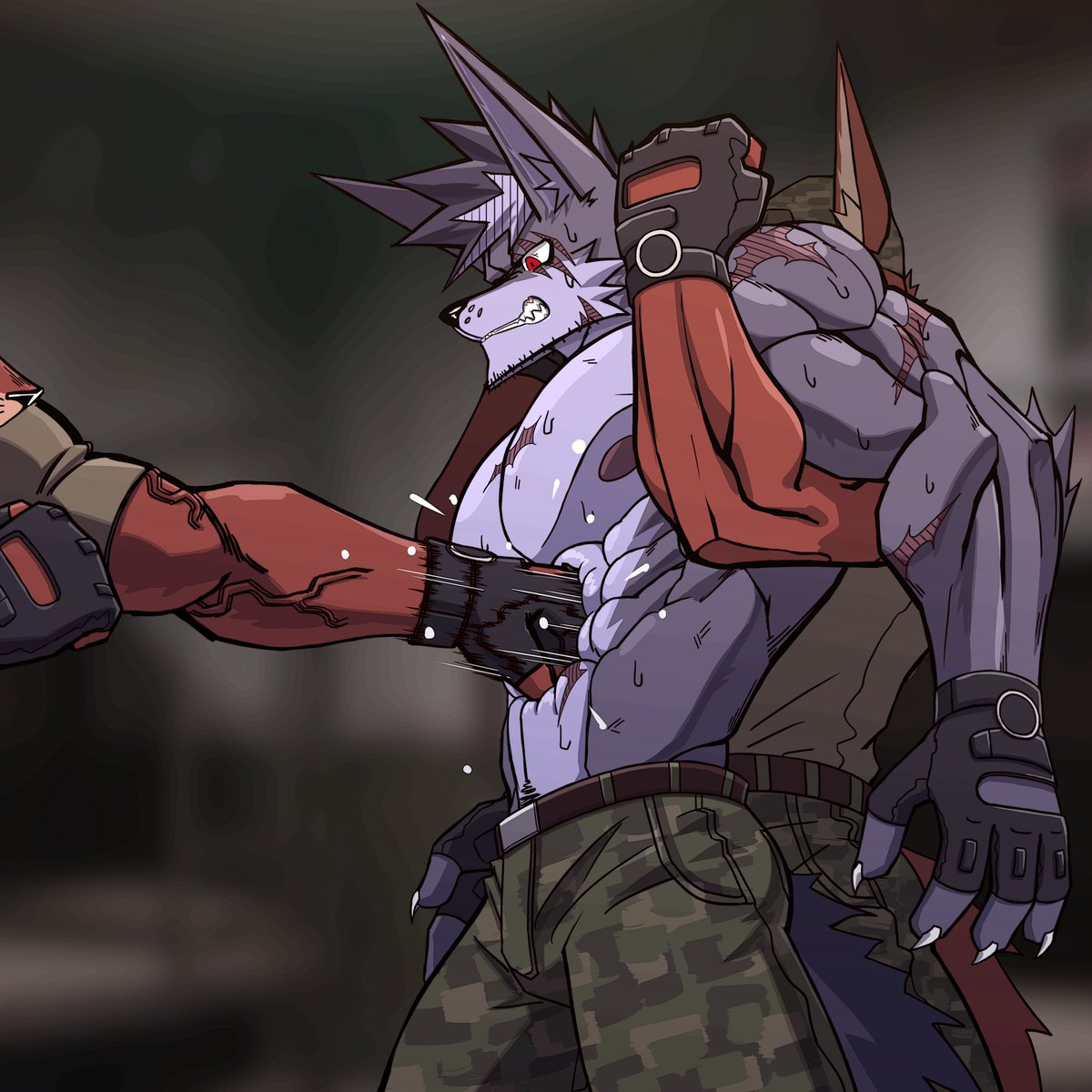 长耳狼 tweet media