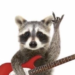 João Rock tweet media