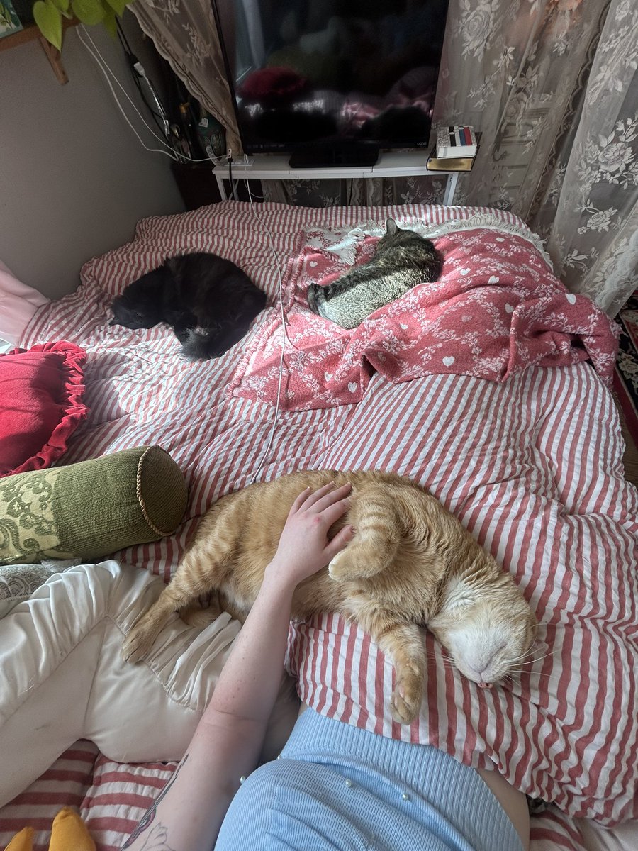 stuffie🕯️🥀🍰 tweet media