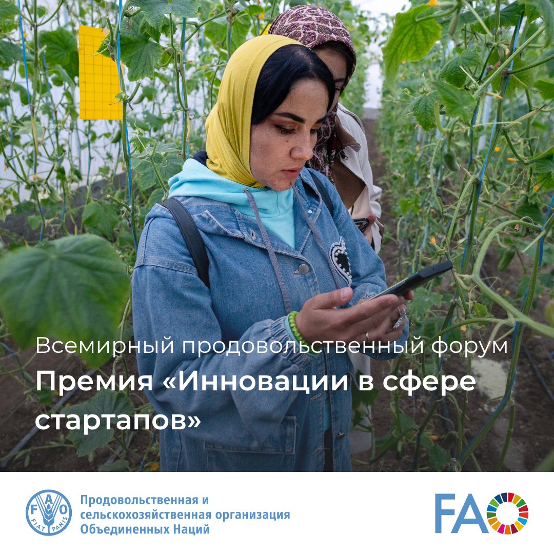 ФАО на русском tweet media