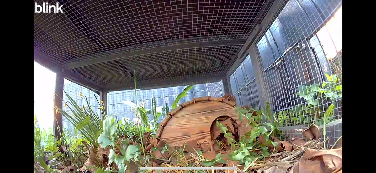 CodingJay tweet media