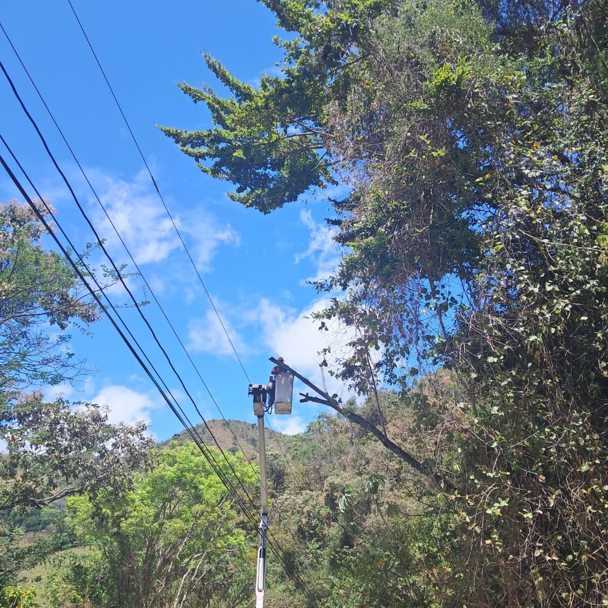 Naturgy Panamá tweet media