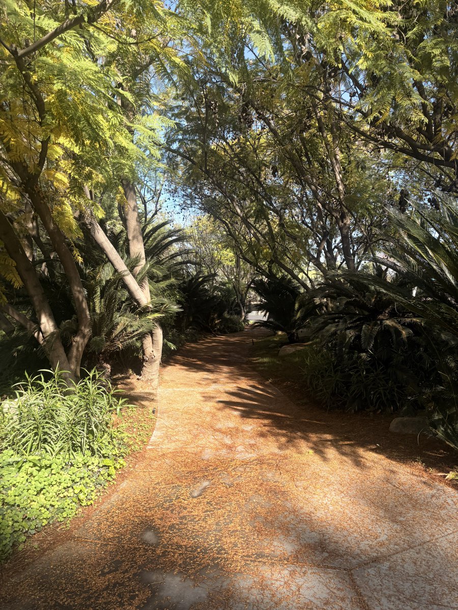 ♡ Honey ♡ tweet media