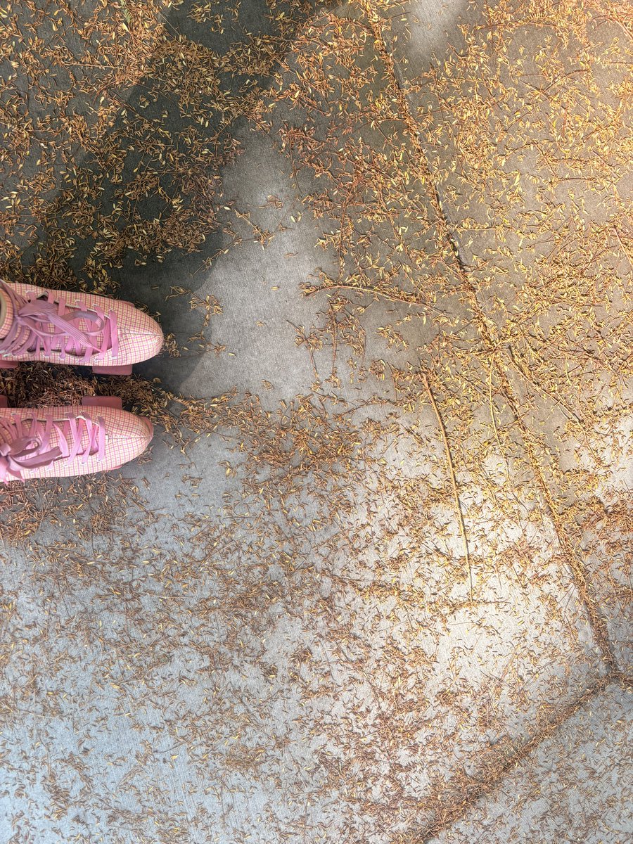 ♡ Honey ♡ tweet media