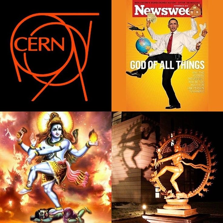 FrauHodl tweet media