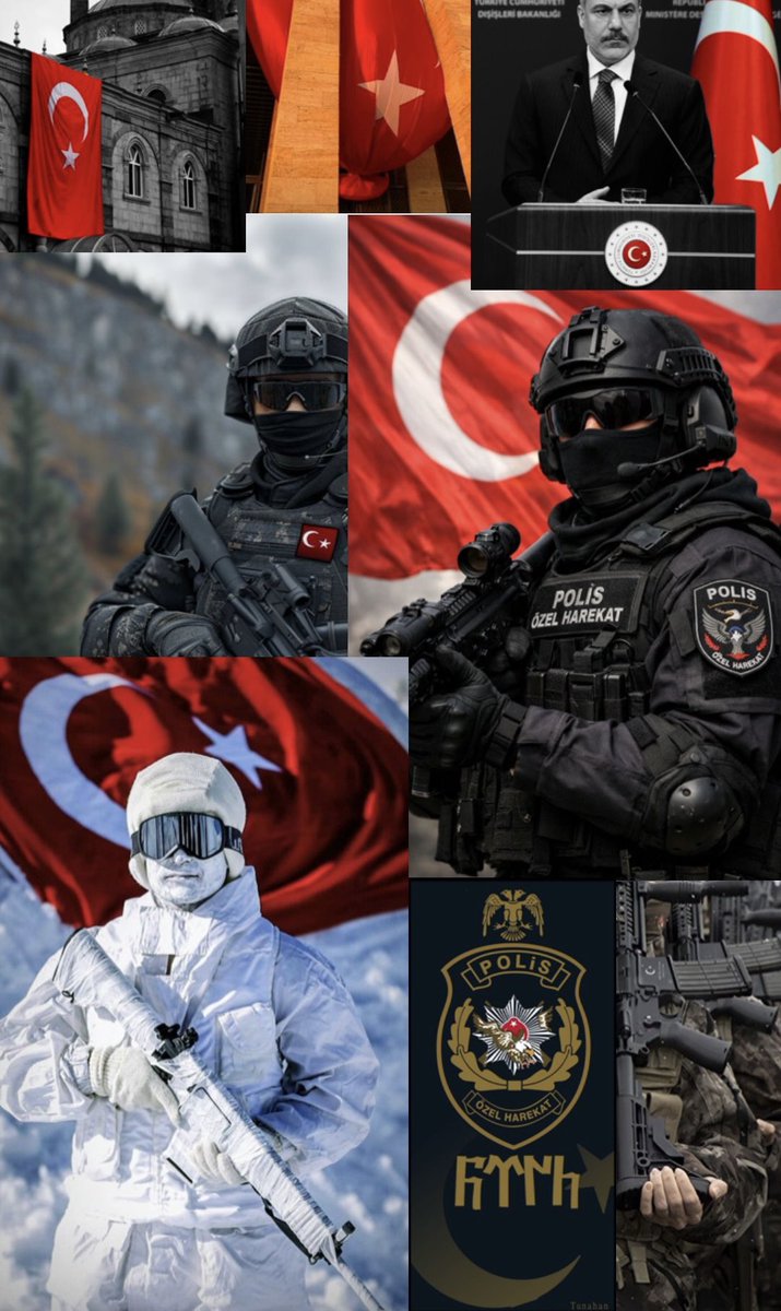 BLUESKY7 🔱 tweet media