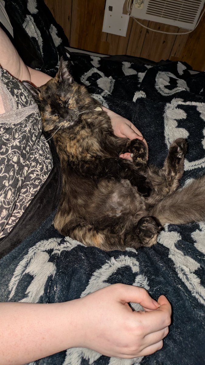 Zen Master Fido tweet media