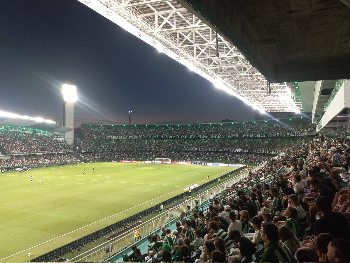 Felipe Hartmann tweet media