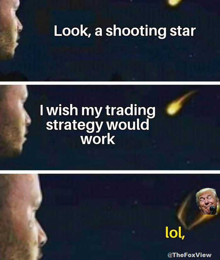 Fox View tweet media