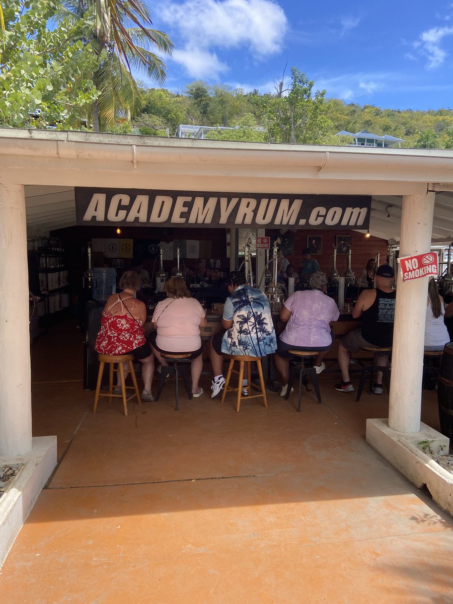 Orient Braces tweet media