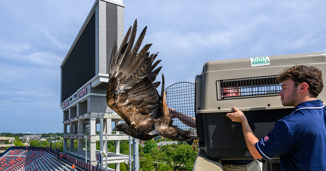 Auburn University tweet media