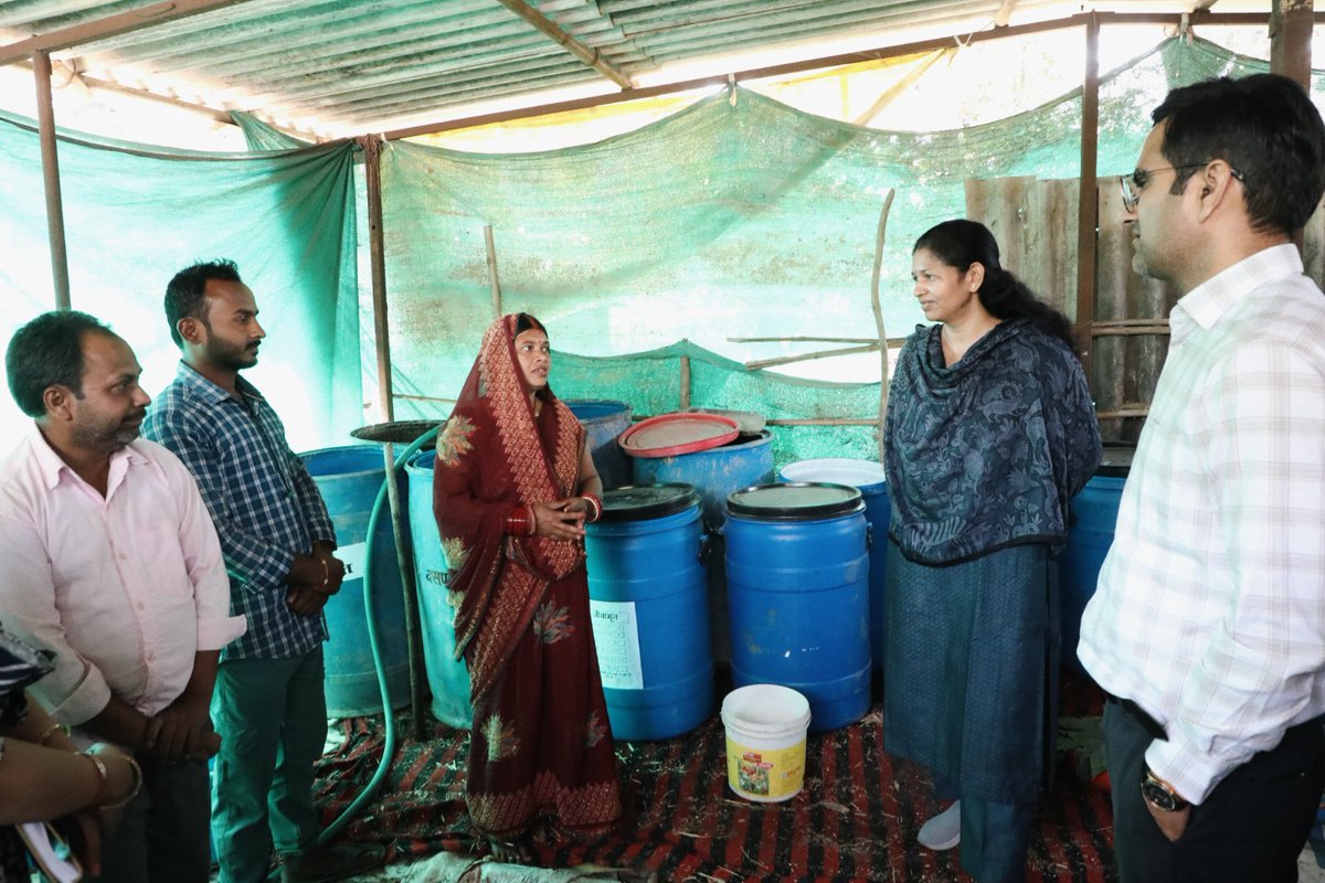 Collector Rewa tweet media