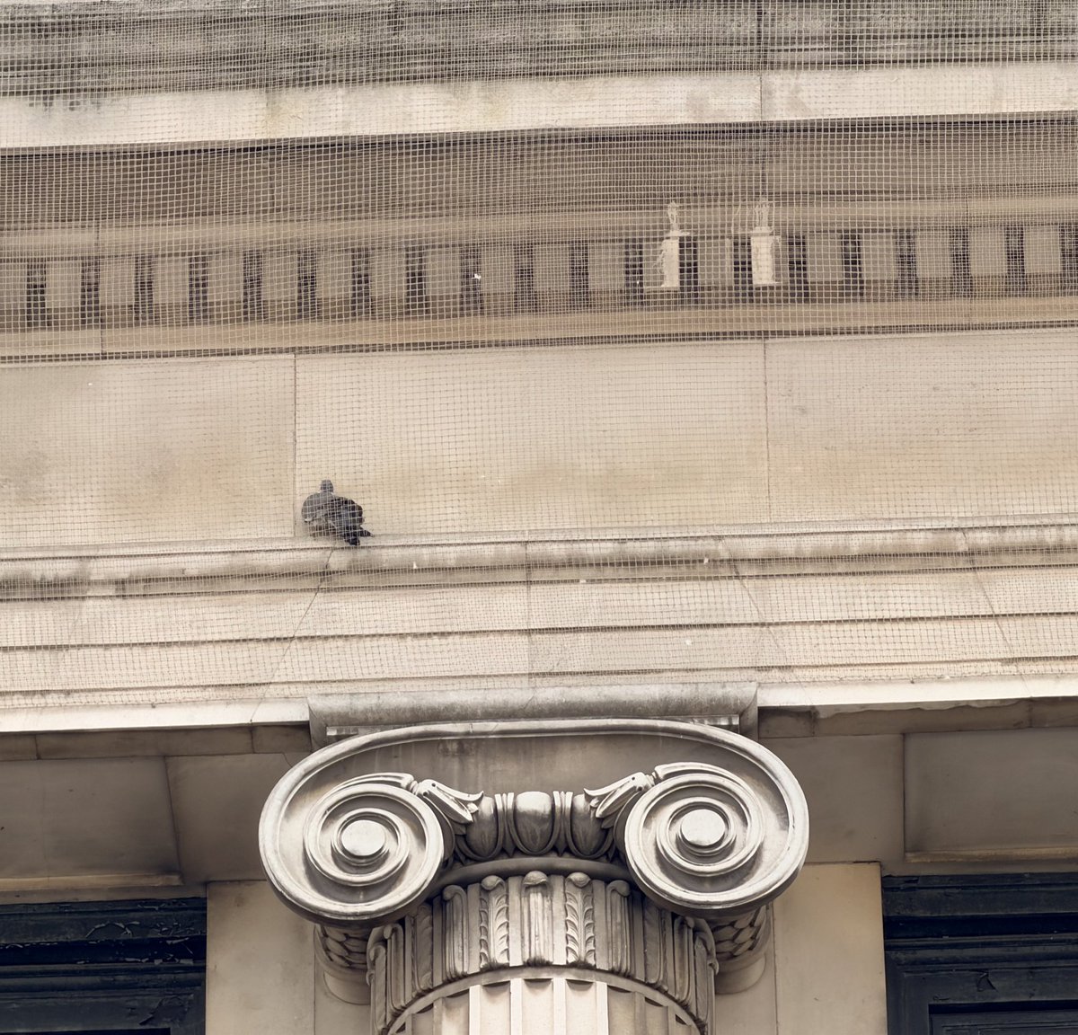 Darshna Soni tweet media