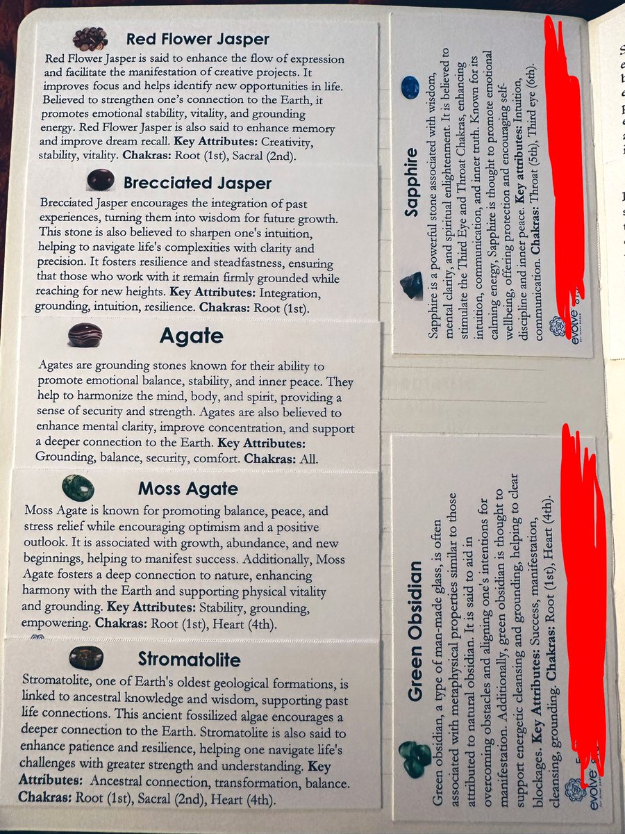 CedarMoth tweet media