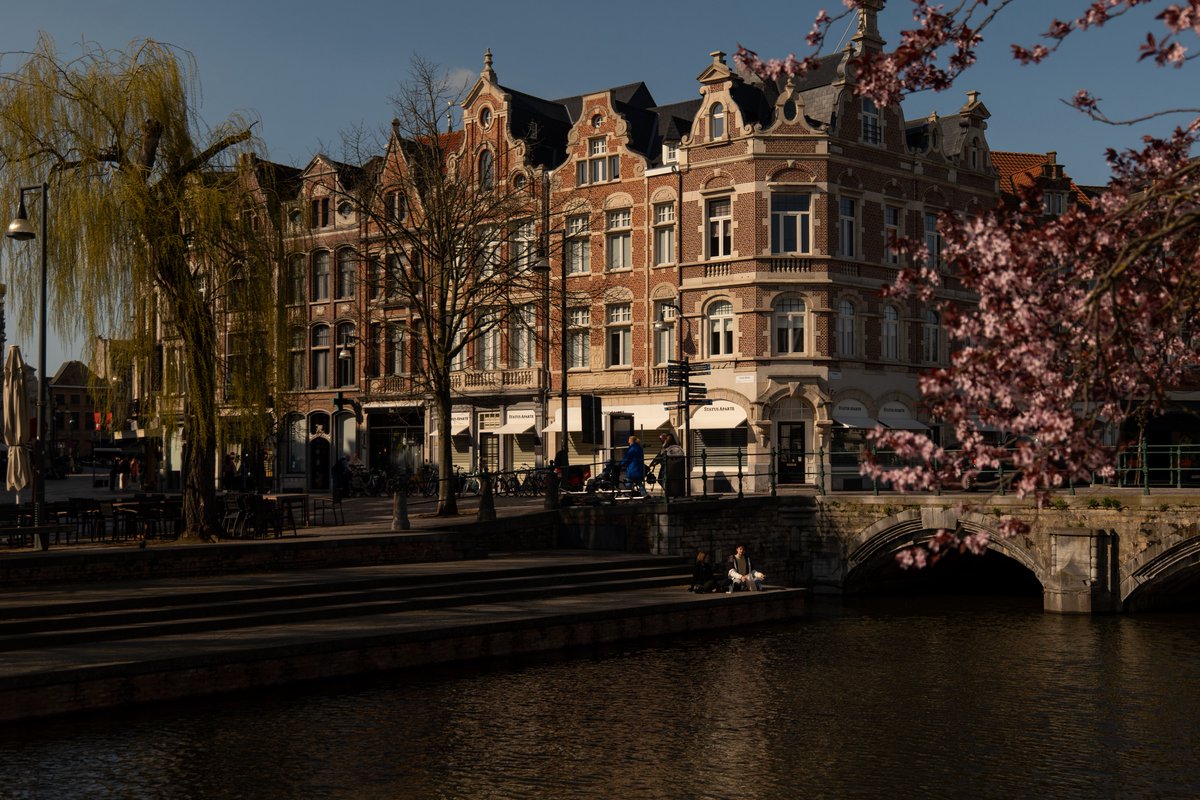 Raphael Barberi📷 tweet media