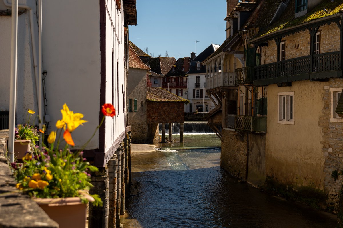 Raphael Barberi📷 tweet media