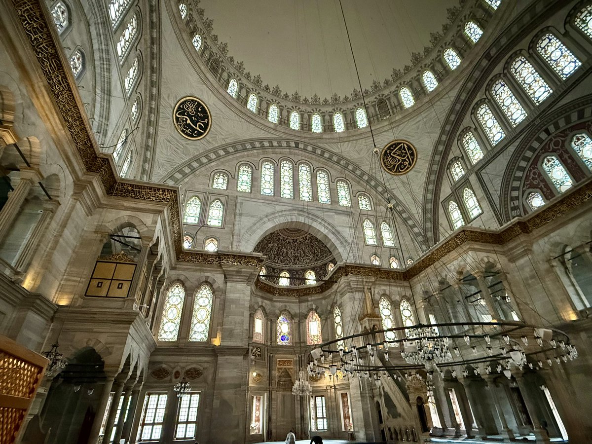 film enjoyer 🇵🇸🇱🇧 tweet media