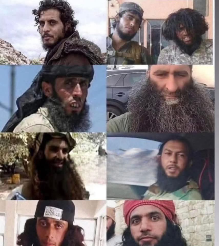 سارة سُليماني tweet media