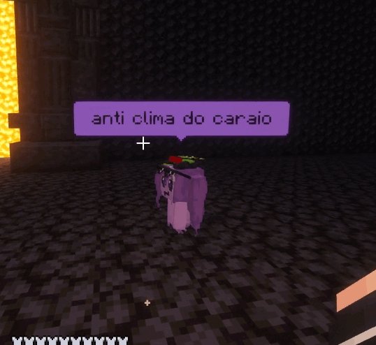 RED/caiozxw7 tweet media