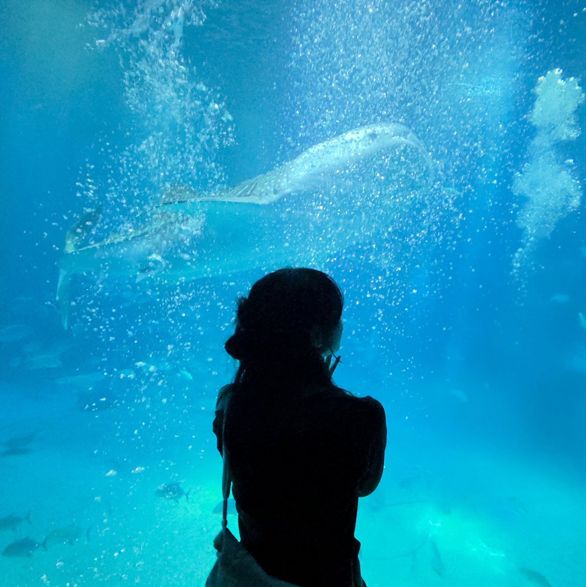 マヨネーズ_마요네즈 tweet media