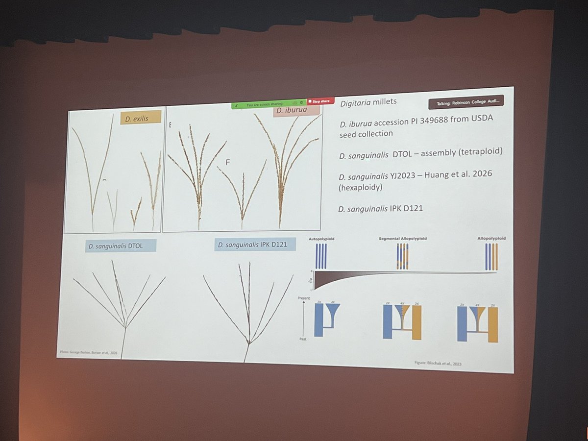 Surbhi Grewal tweet media