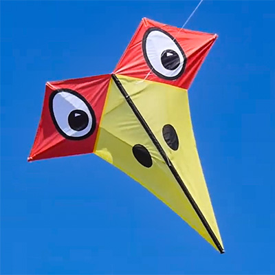 Kite Plan Base tweet media