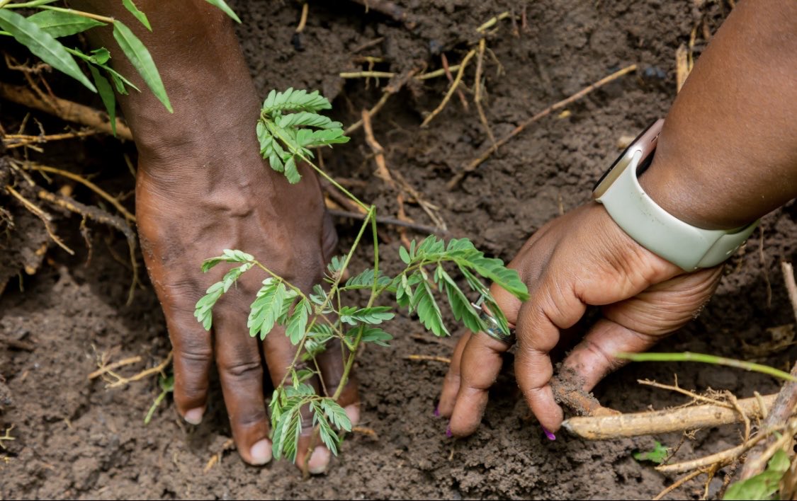 Rct Hope Kansanga tweet media