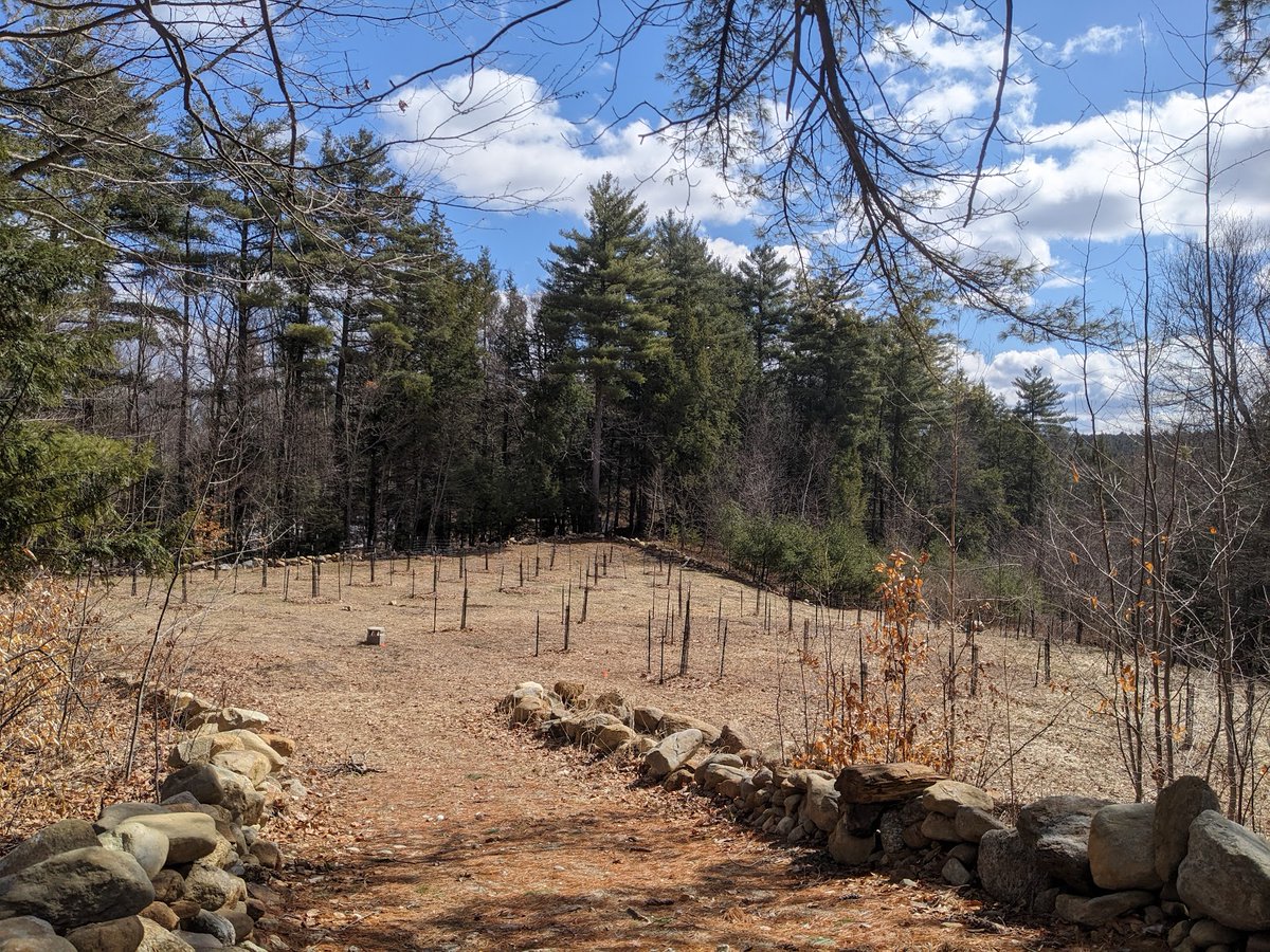 travis4nh tweet media