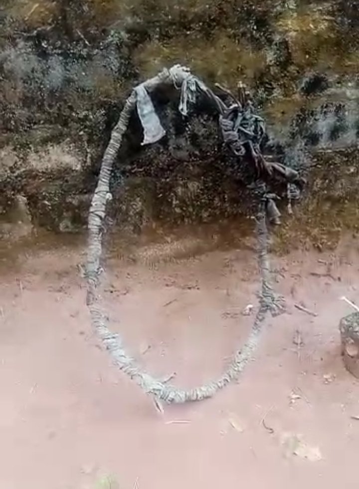 Asụsụ Igbo tweet media