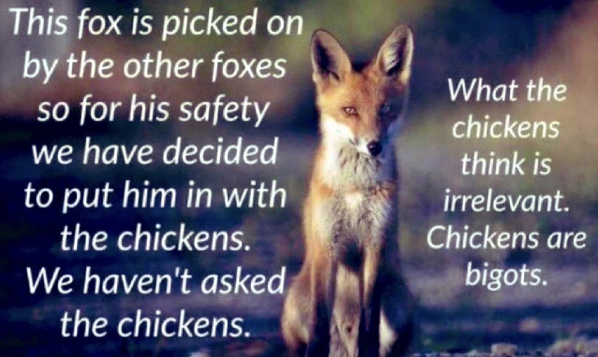 Carla Lasagne tweet media