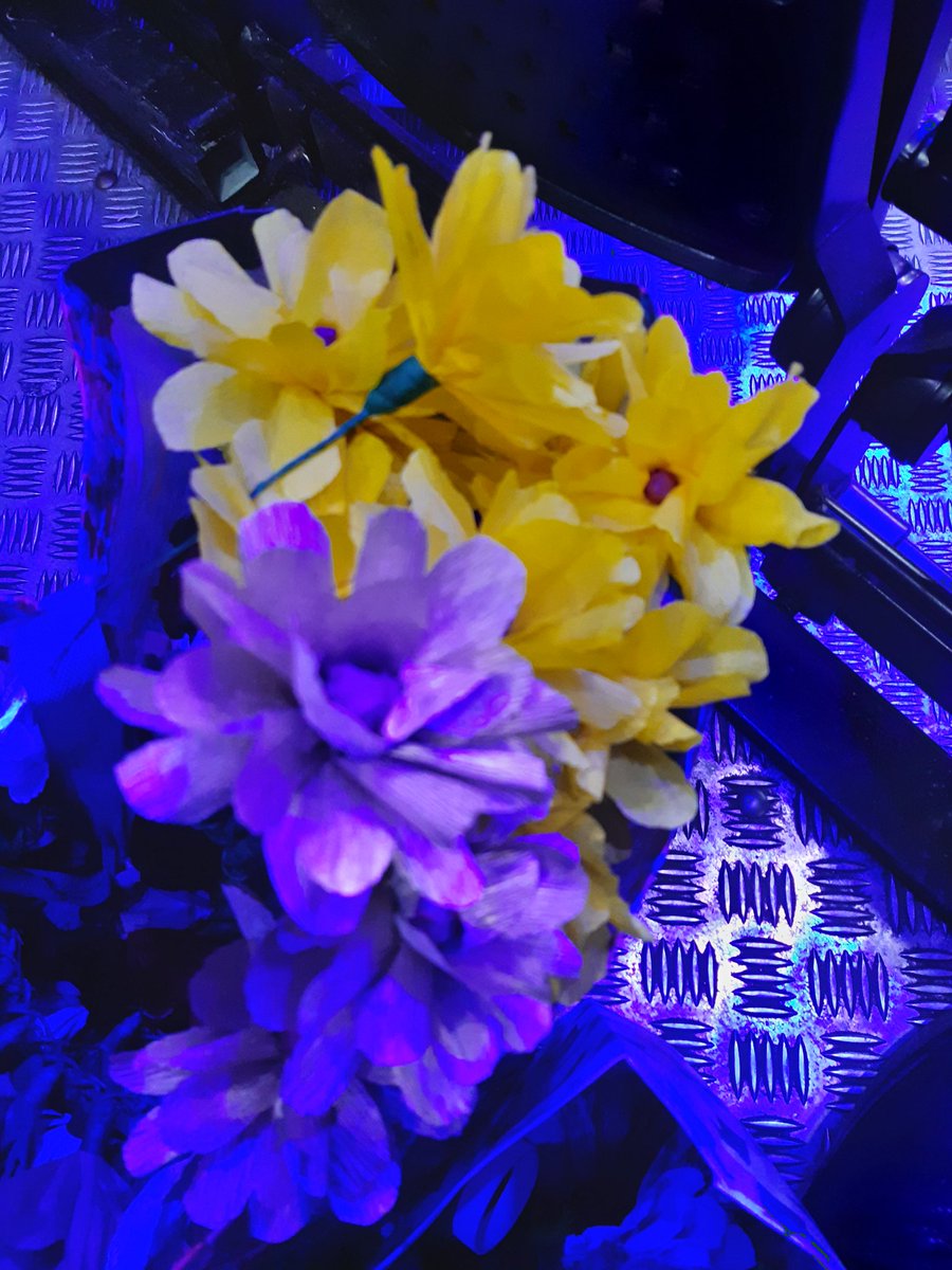 NoNameFace tweet media