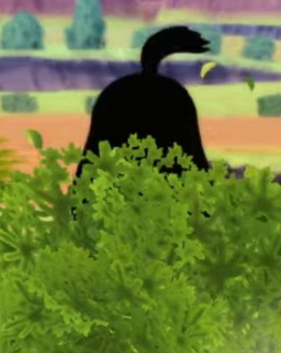 Hasbulla Da Sh◎◎ta tweet media