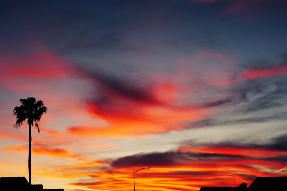 @LaszloUnfiltered tweet media