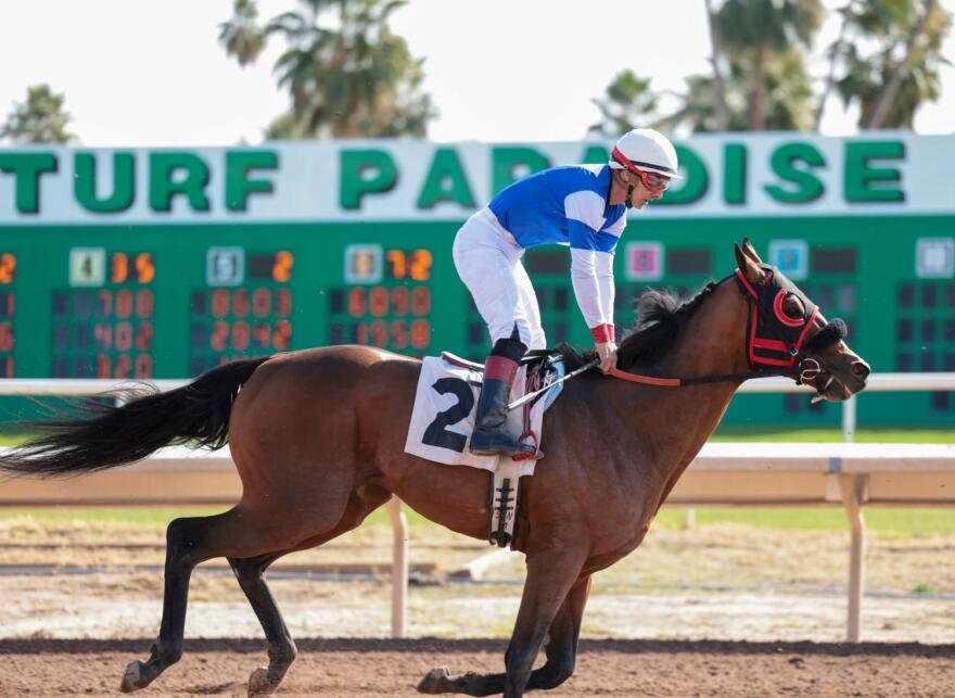 Joe Quillen tweet media