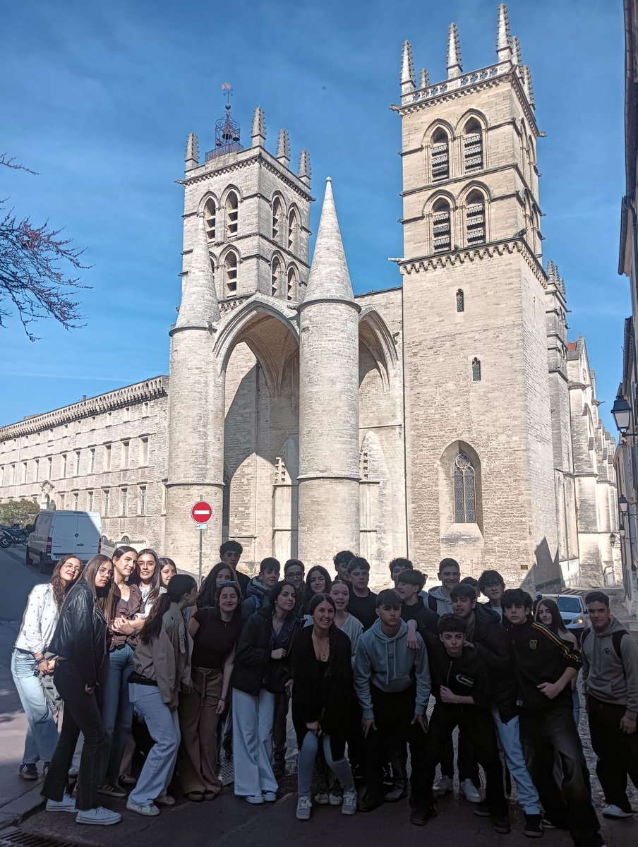 IES Fernando de Rojas tweet media