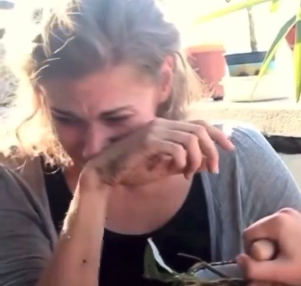 elly 🫧 tweet media