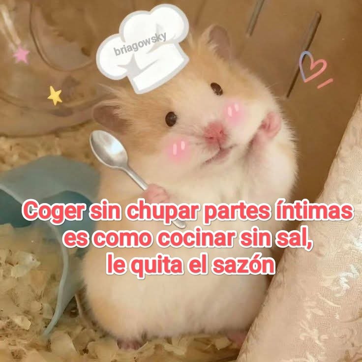 𓆩 luis 𓆪 tweet media