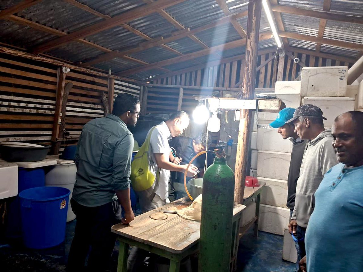 CODOPESCA RD tweet media