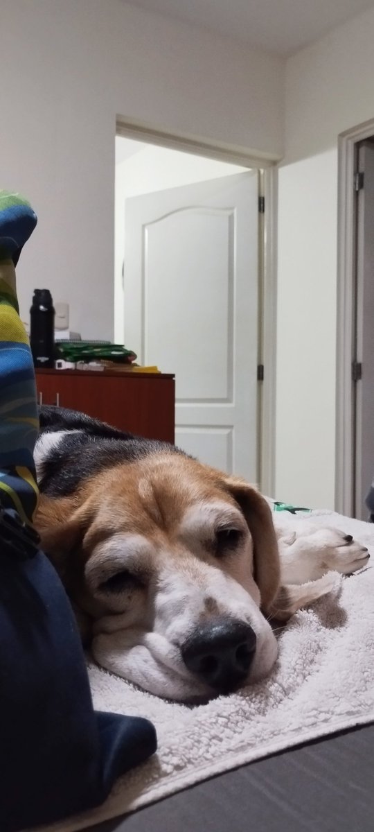 GaMo_Mechas's tweet photo. 11:11
Unos días de descanso https://t.co/MwK0zKam9w