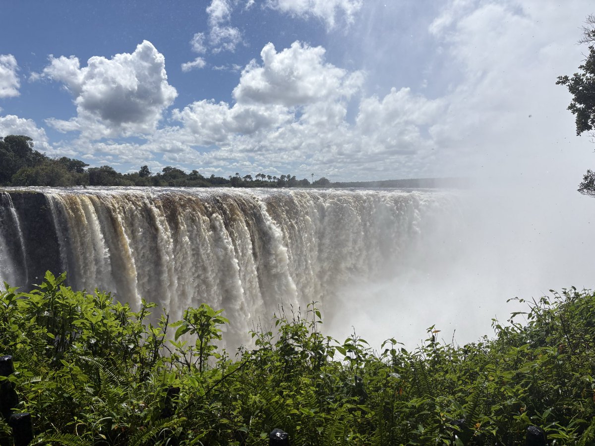 James Charlton tweet media